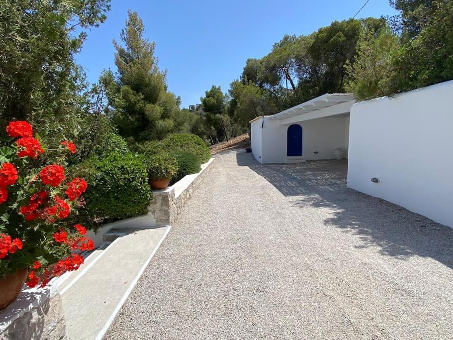 Retreat Villa By The Sea With Pool In Porto Heli Luaran gambar
